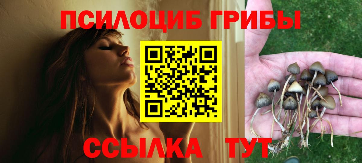 Галлюциногенные грибы прущие грибы Полысаево