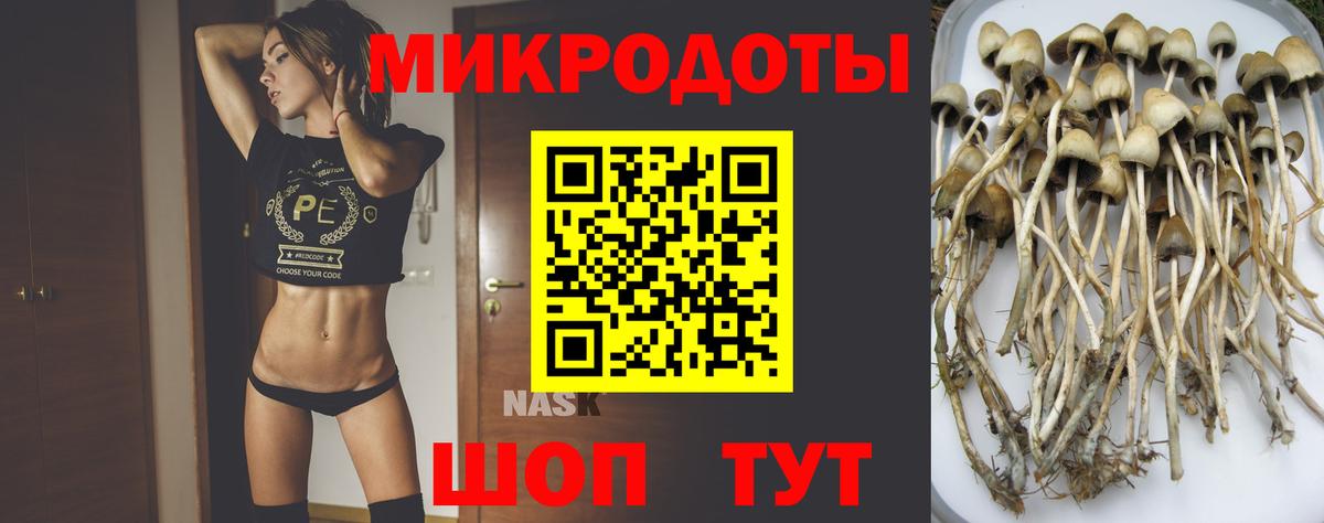Полысаево  Галлюциногенные грибы Cubensis  Вход с VPN 